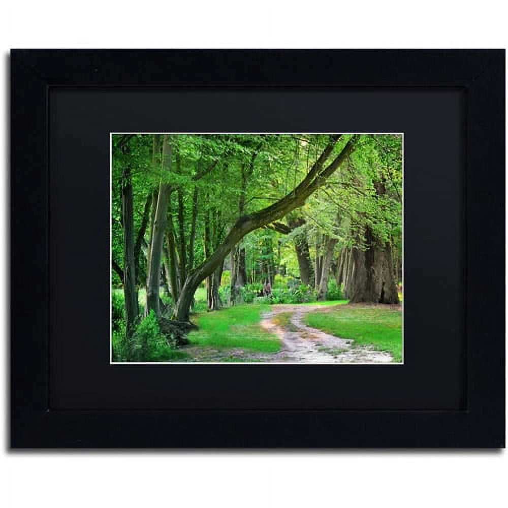 Trademark Fine Art "Intimate Landscape" Canvas Art by Philippe Sainte-Laudy, Black Matte, Black Frame