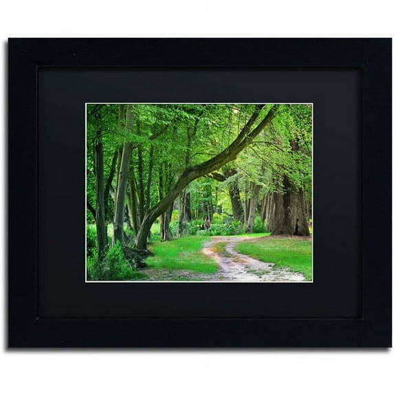 Trademark Fine Art "Intimate Landscape" Canvas Art by Philippe Sainte-Laudy, Black Matte, Black Frame