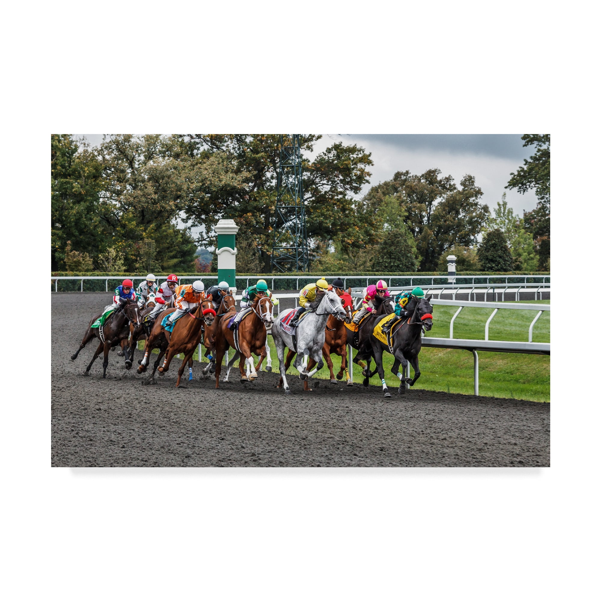 Trademark Fine Art 'Into The Home Stretch' Canvas Art by Galloimages Online