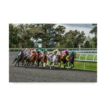 Trademark Fine Art 'Into The Home Stretch' Canvas Art by Galloimages Online