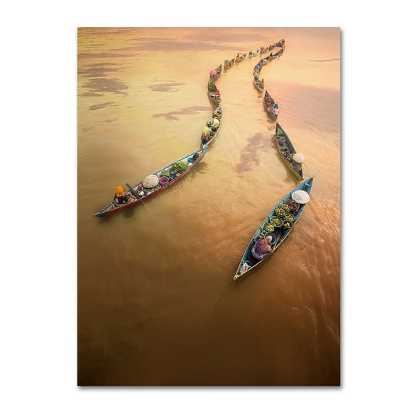 Trademark Fine Art 'Into The Light' Canvas Art by Fauzan Maududdin