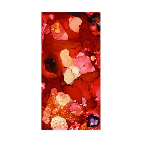Trademark Fine Art 'Into The Reds' Canvas Art by Pat Saunders-White