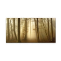 Trademark Fine Art 'Into The Trees' Canvas Art by Norbert Maier