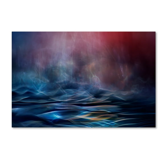 Trademark Fine Art 'Into The Unknown' Canvas Art by Willy Marthinussen