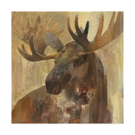 Trademark Fine Art 'Into The Wild Ii' Canvas Art by Albena Hristova