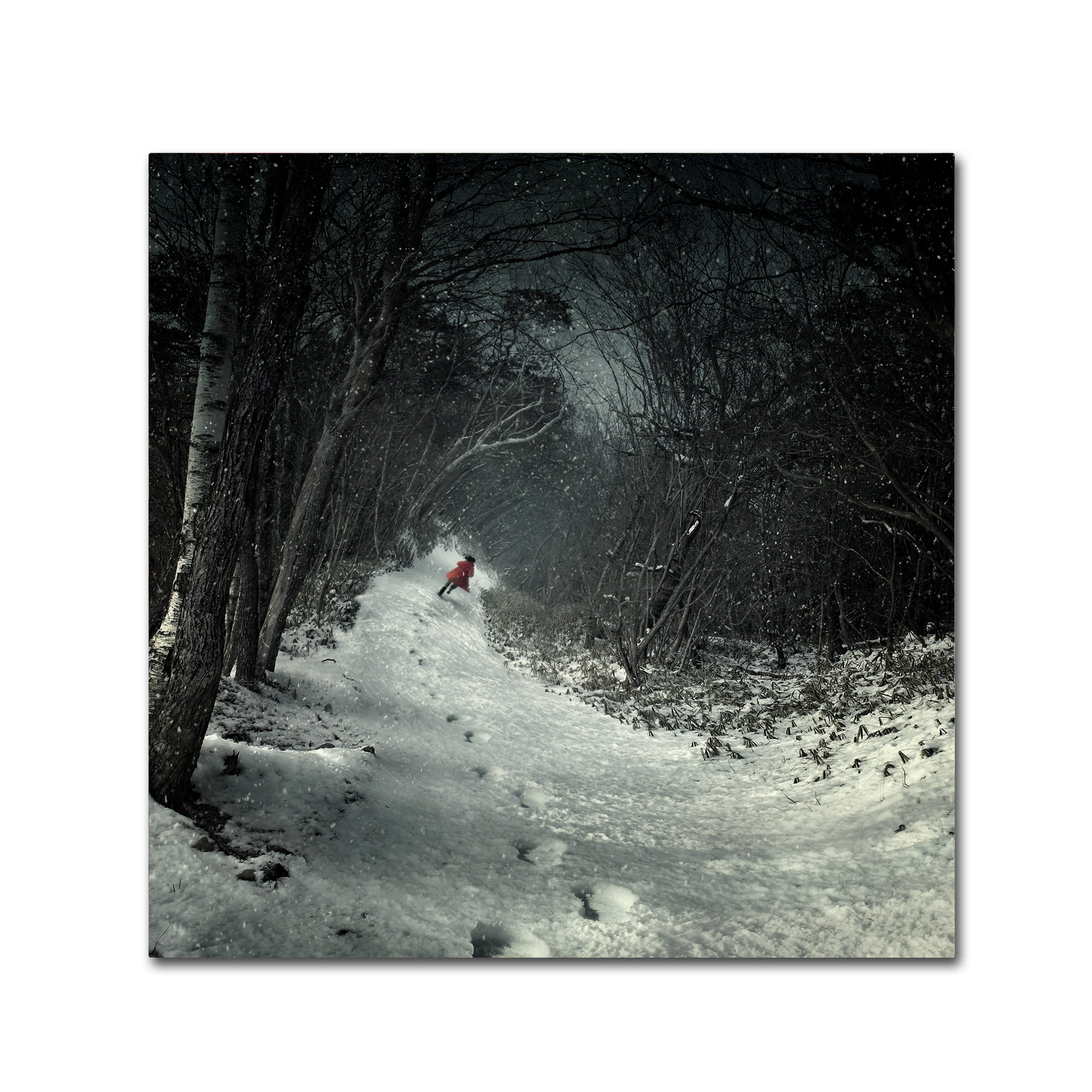 Trademark Fine Art 'Into The Winter Forest' Canvas Art by Kiyo Murakami