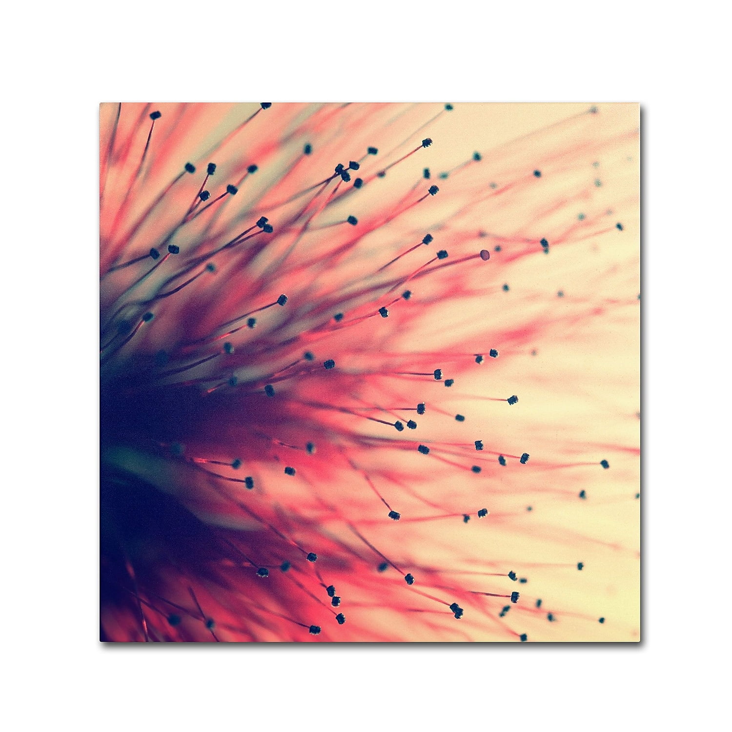 Trademark Fine Art "Into the Future" Canvas Art by Beata Czyzowska Young