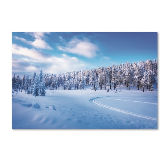 Trademark Fine Art 'Into the Spot' Canvas Art by Philippe Sainte-Laudy