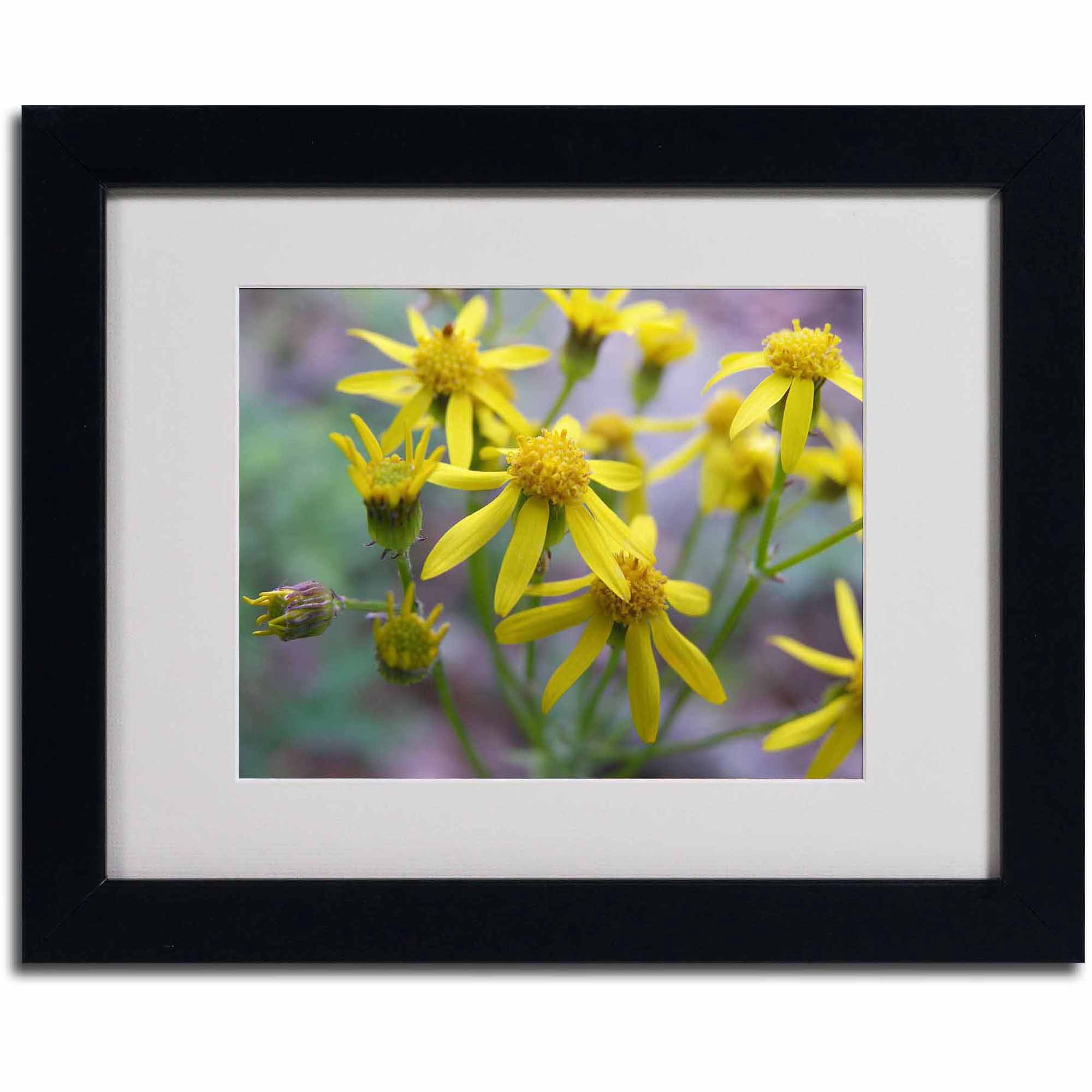 Trademark Fine Art "Intriguing Dynasty" Canvas Art by Monica Fleet, Black Frame
