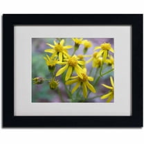 Trademark Fine Art "Intriguing Dynasty" Canvas Art by Monica Fleet, Black Frame