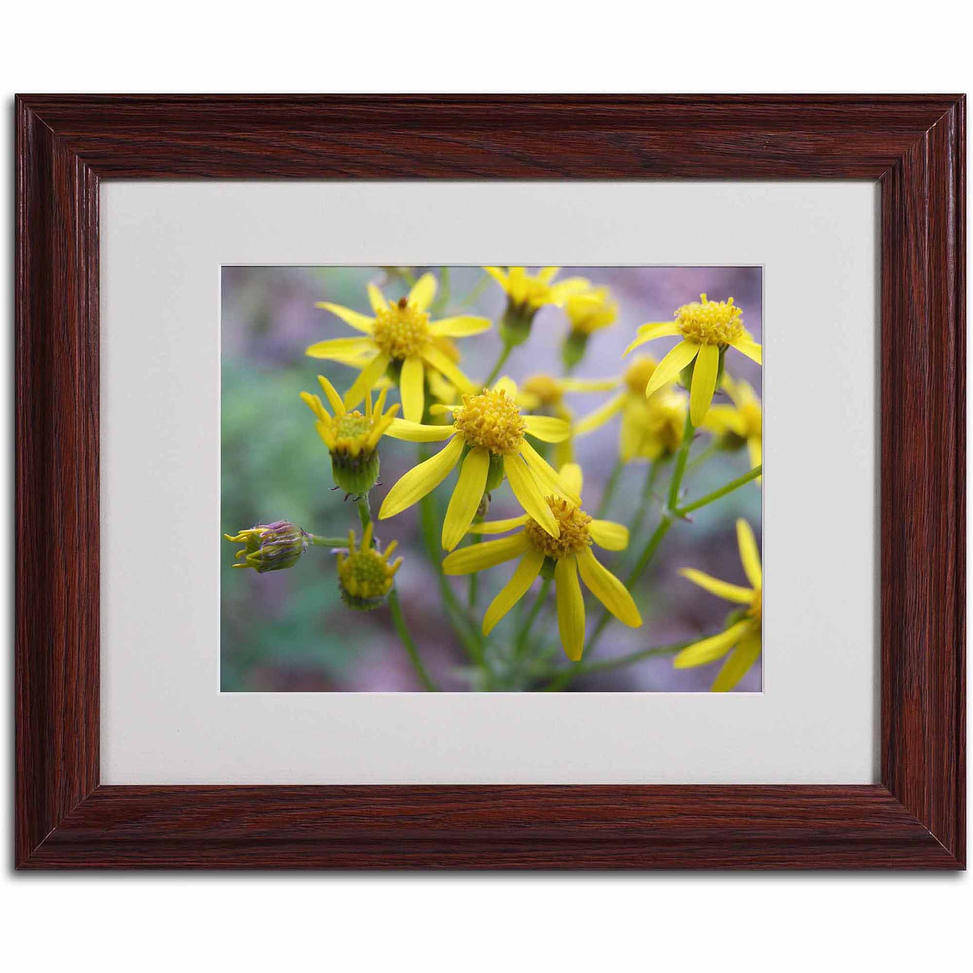 Trademark Fine Art "Intriguing Dynasty" Canvas Art by Monica Fleet, Wood Frame