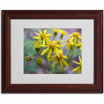 Trademark Fine Art "Intriguing Dynasty" Canvas Art by Monica Fleet, Wood Frame