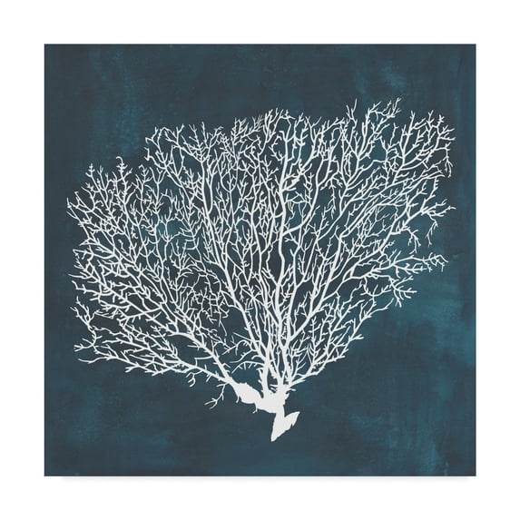 Trademark Fine Art 'Inverse Sea Fan II' Canvas Art by Grace Popp