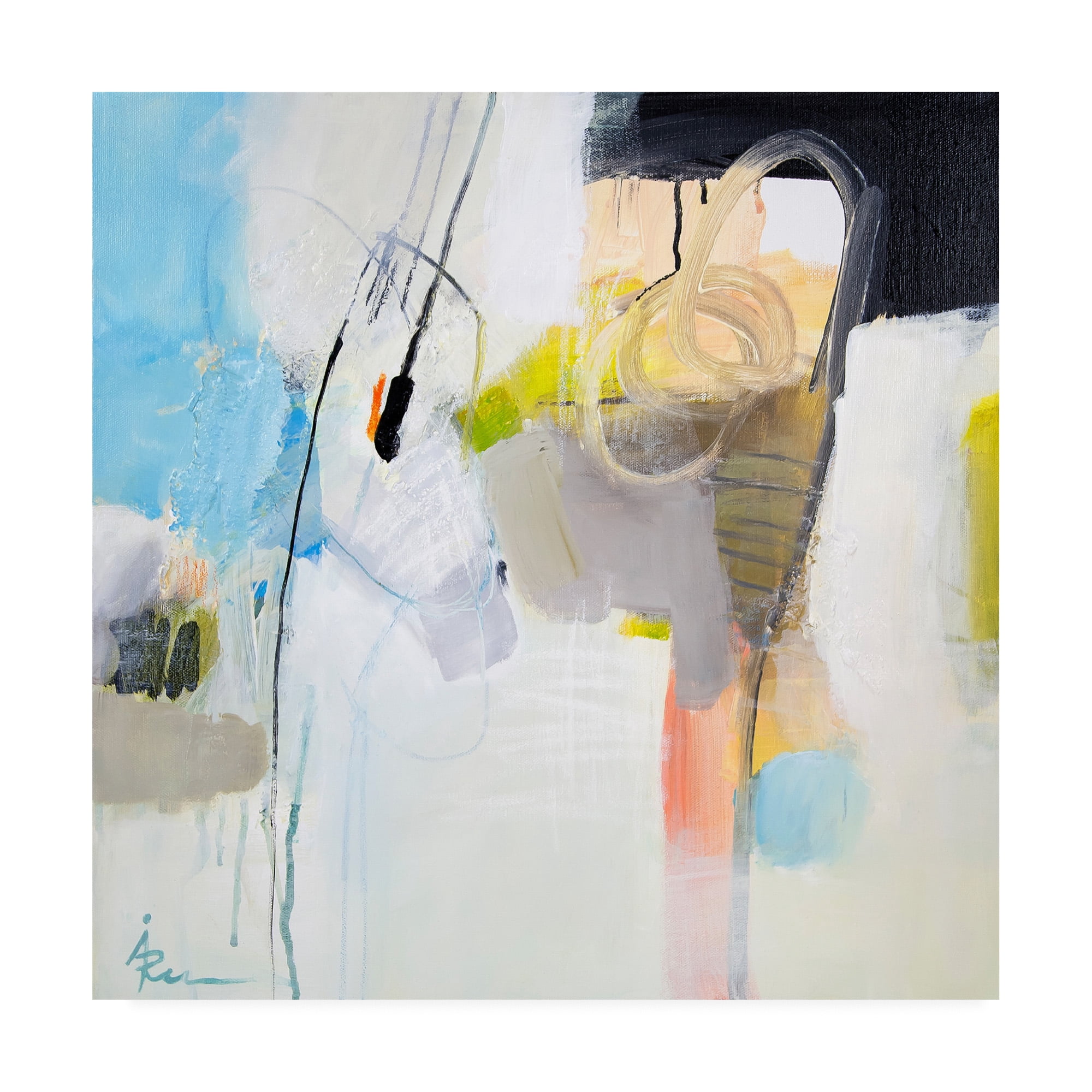 Trademark Fine Art 'Ira Ivanov Paint Expression Study 1' Canvas Art by Ira Ivanov