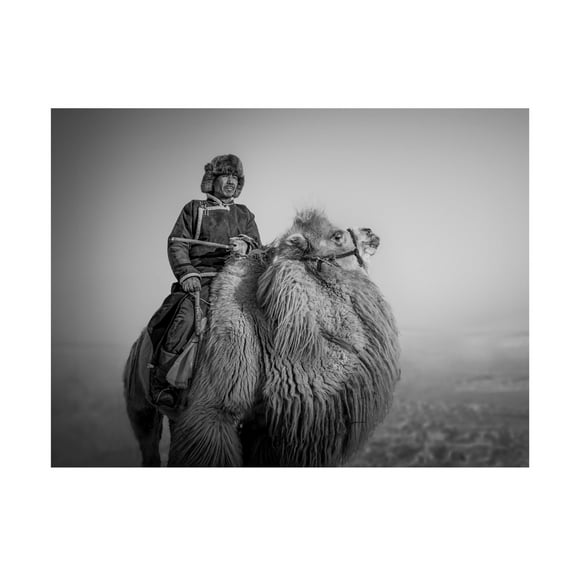 Trademark Fine Art Irene Wu Farmer And His Camel Canvas Wall Art