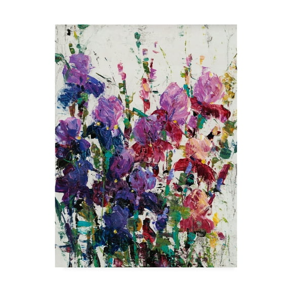 Trademark Fine Art 'Iris Blooming II' Canvas Art by Tim OToole