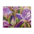 thumbnail image 1 of Trademark Fine Art 'Iris Details I' Canvas Art by Sandra Iafrate, 1 of 1