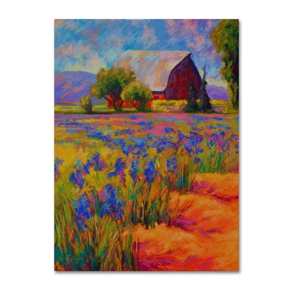 Trademark Fine Art 'Iris Field 2' Canvas Art by Marion Rose