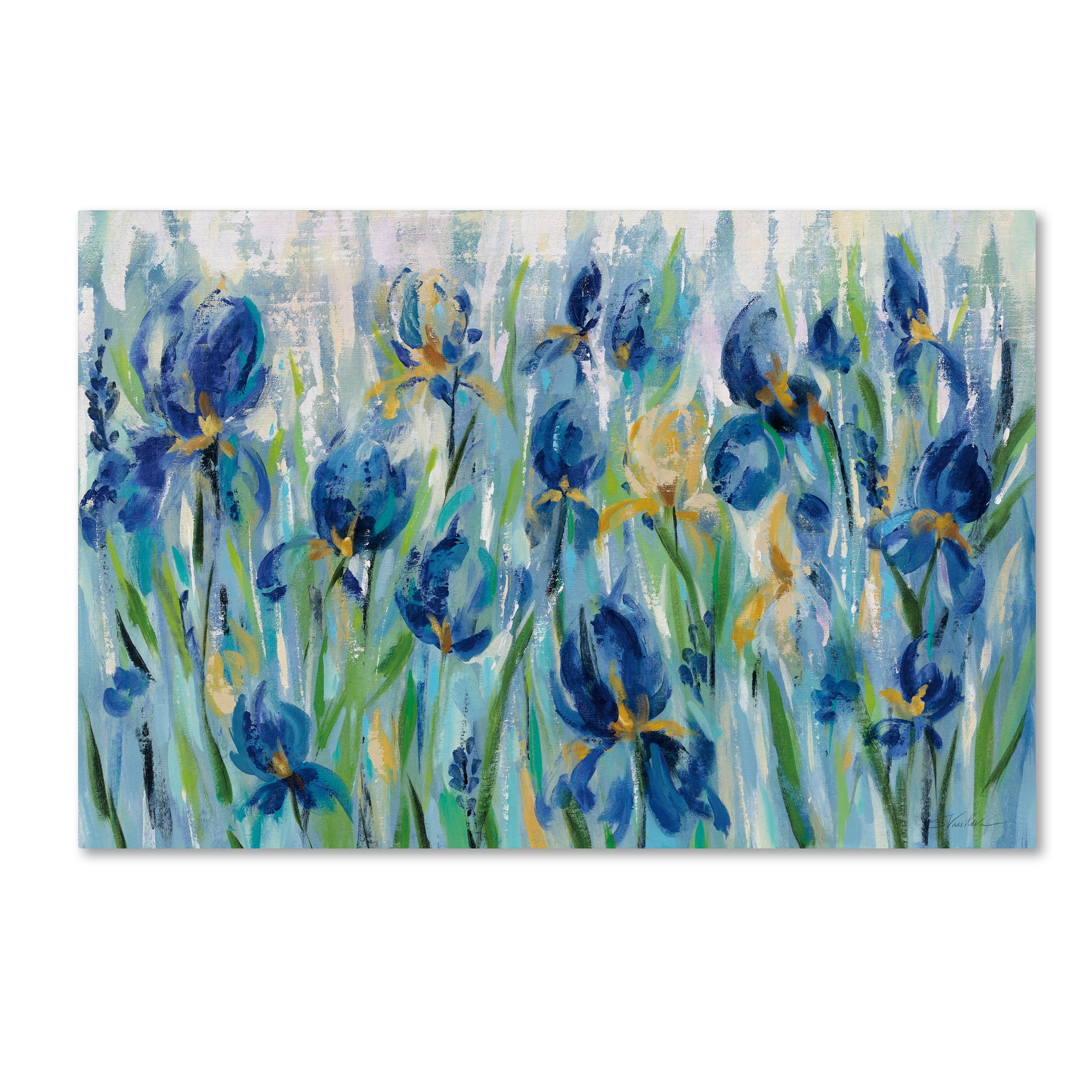 Trademark Fine Art 'Iris Flower Bed' Canvas Art by Silvia Vassileva