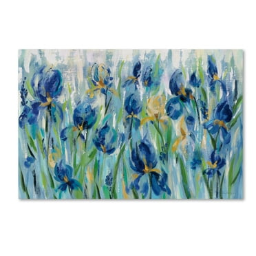 Trademark Fine Art 'Iris Flower Bed' Canvas Art by Silvia Vassileva