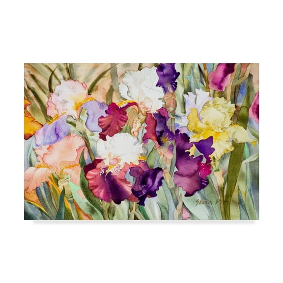 Trademark Fine Art 'Iris Garden 1' Canvas Art by Sharon Pitts