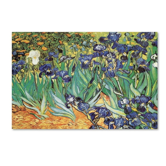 Trademark Fine Art 'Iris Garden' Canvas Art by Vincent van Gogh