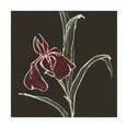 thumbnail image 1 of Trademark Fine Art 'Iris on Black V' Canvas Art by Chris Paschke, 1 of 3