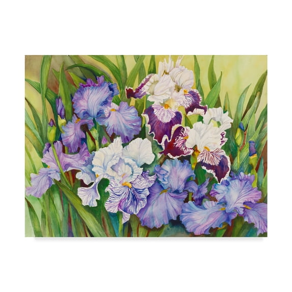 Trademark Fine Art 'Irises In Shades Of Lavender' Canvas Art by Joanne Porter