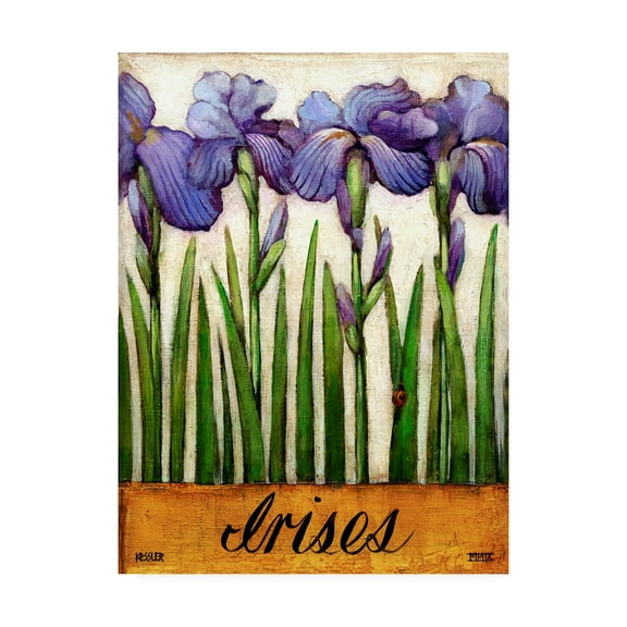 Trademark Fine Art 'Irises Purple' Canvas Art by Daniel Patrick Kessler