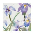 thumbnail image 1 of Trademark Fine Art 'Irises Violet' Canvas Art by Sheila Golde, 1 of 3