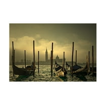 Trademark Fine Art Isabelle DUPONT Light In The Mist Canvas Wall Art