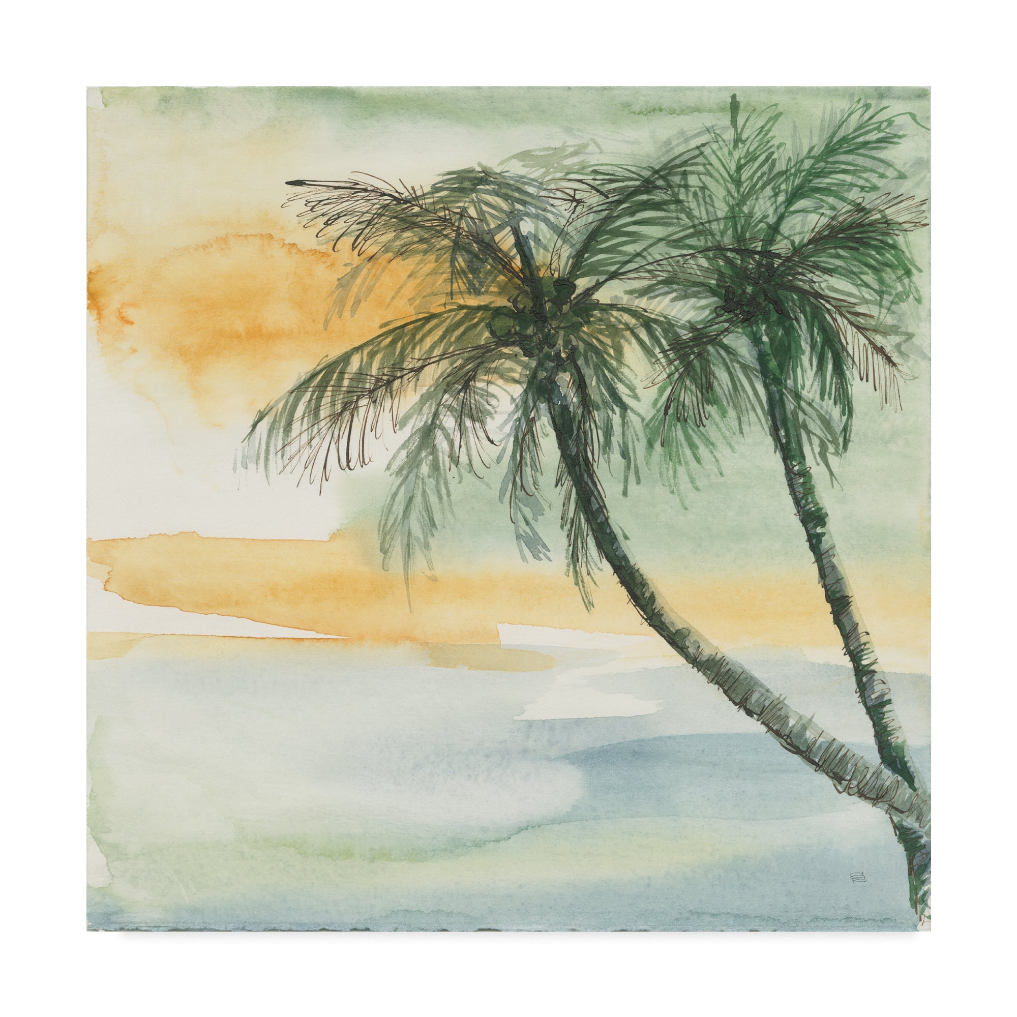 Trademark Fine Art 'Island Sunset II' Canvas Art by Chris Paschke