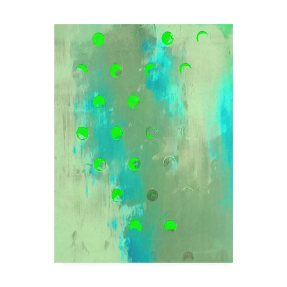 Trademark Fine Art 'Islander I' Canvas Art by Greg Perkins