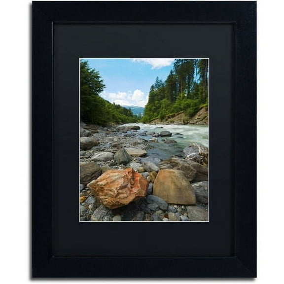 Trademark Fine Art "Isolated" Canvas Art by Philippe Sainte-Laudy, Black Matte, Black Frame