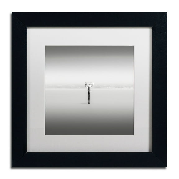Trademark Fine Art "Isolation" Canvas Art by Dave MacVicar, White Matte, Black Frame