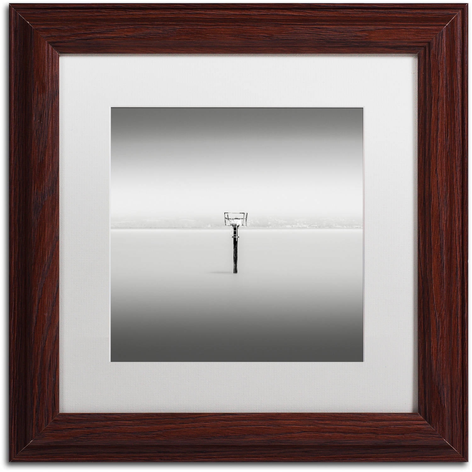 Trademark Fine Art "Isolation" Canvas Art by Dave MacVicar, White Matte, Wood Frame