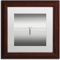 Trademark Fine Art "Isolation" Canvas Art by Dave MacVicar, White Matte, Wood Frame