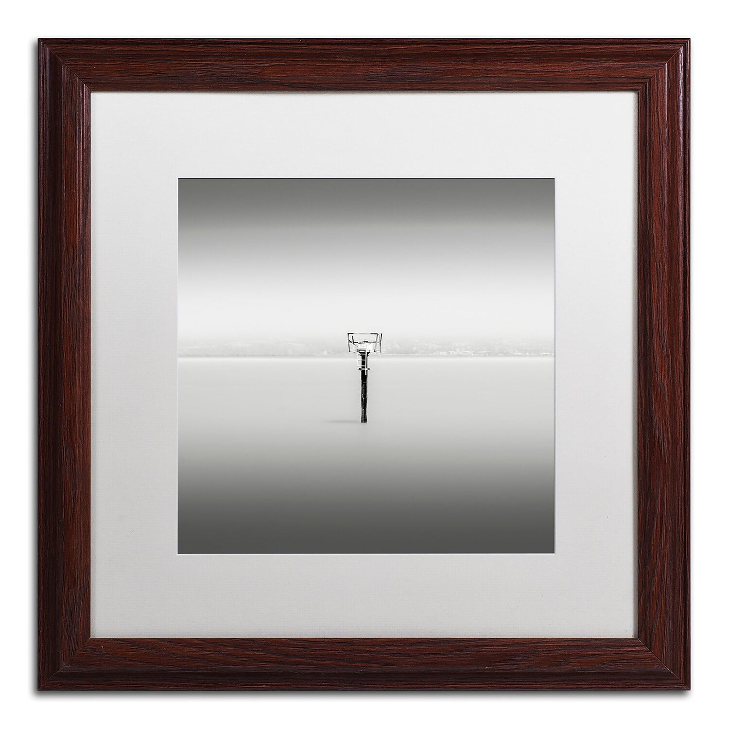 Trademark Fine Art "Isolation" Canvas Art by Dave MacVicar, White Matte, Wood Frame