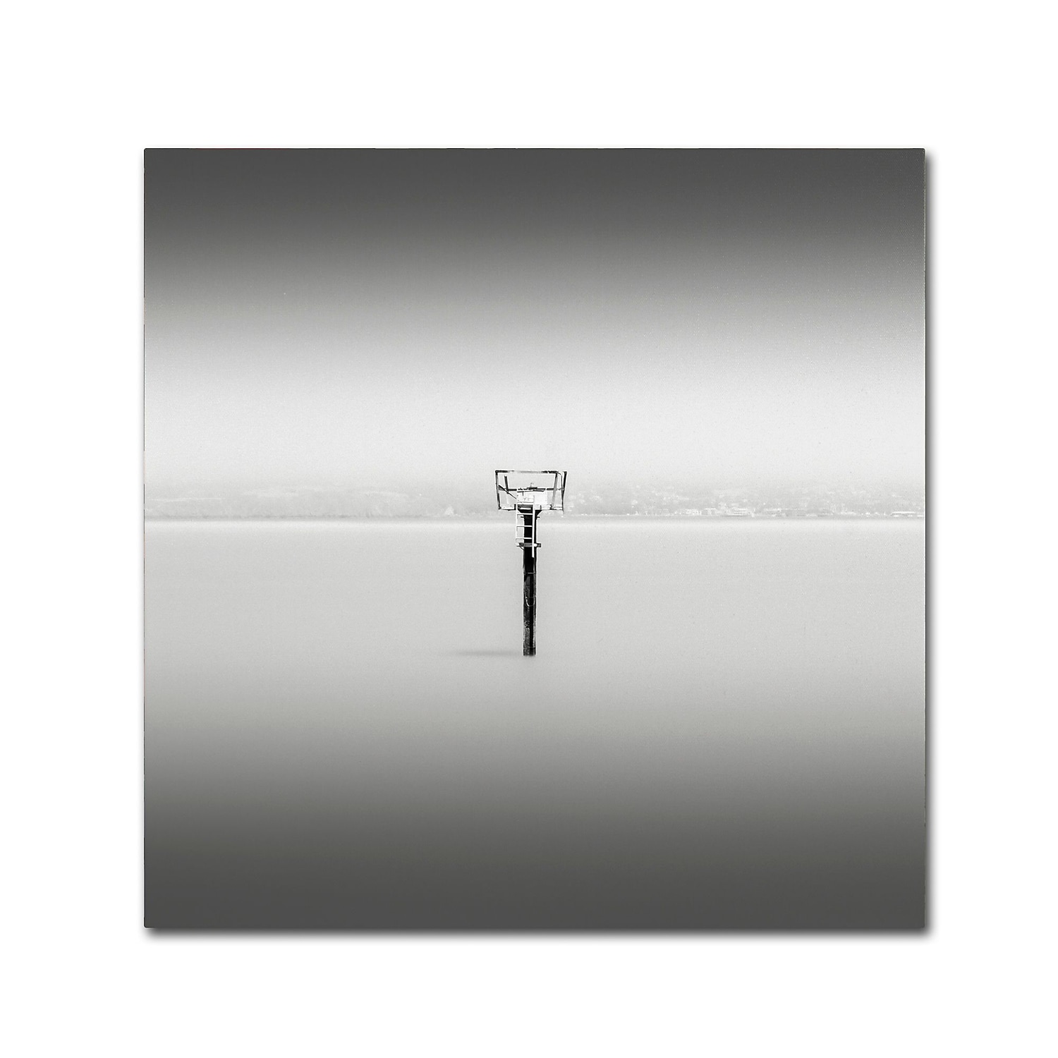 Trademark Fine Art "Isolation" Canvas Art by Dave MacVicar