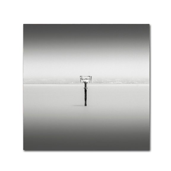 Trademark Fine Art "Isolation" Canvas Art by Dave MacVicar