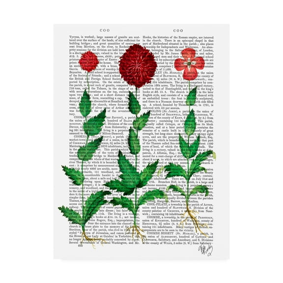 Trademark Fine Art 'Italian Carnation 2' Canvas Art by Fab Funky