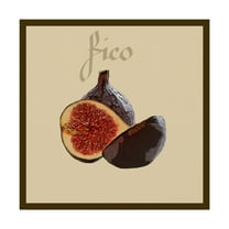 Trademark Fine Art 'Italian Fruit VI' Canvas Art by Vision Studio