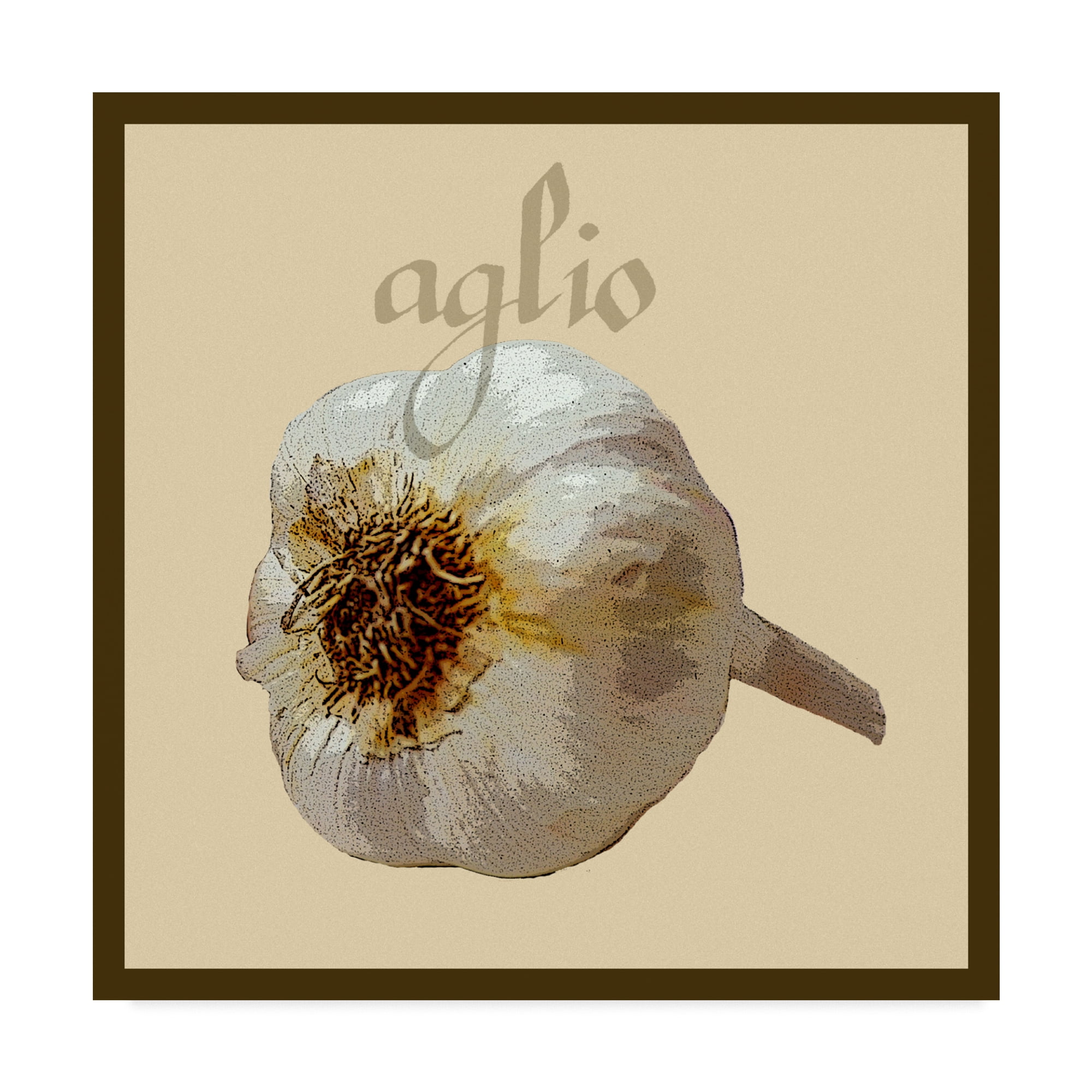 Trademark Fine Art 'Italian Vegetable III' Canvas Art by Vision Studio