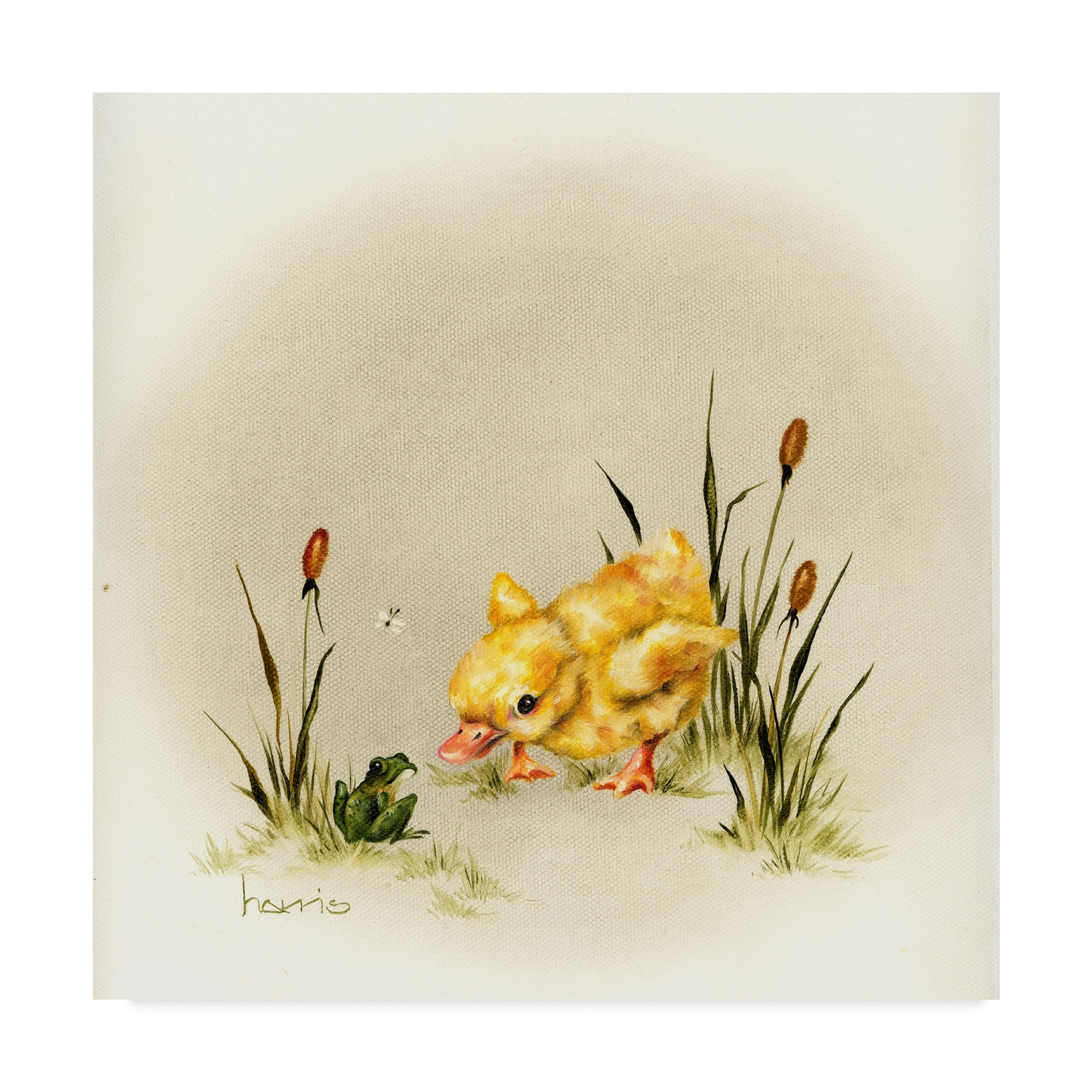 Trademark Fine Art 'Its Always Something' Canvas Art by Peggy Harris