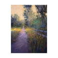 thumbnail image 1 of Trademark Fine Art 'Its the Glow' Canvas Art by Alejandra Go, 1 of 3