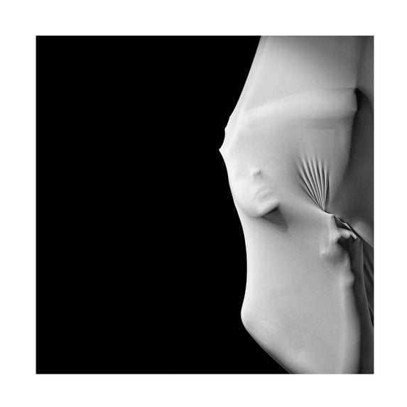 Trademark Fine Art Itzik Rabinovitz Incognito Canvas Wall Art