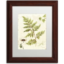 Trademark Fine Art "Ivies and Ferns I" Canvas Art by Lisa Audit, White Matte, Wood Frame