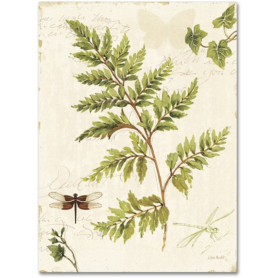 Trademark Fine Art "Ivies and Ferns I" Canvas Art by Lisa Audit