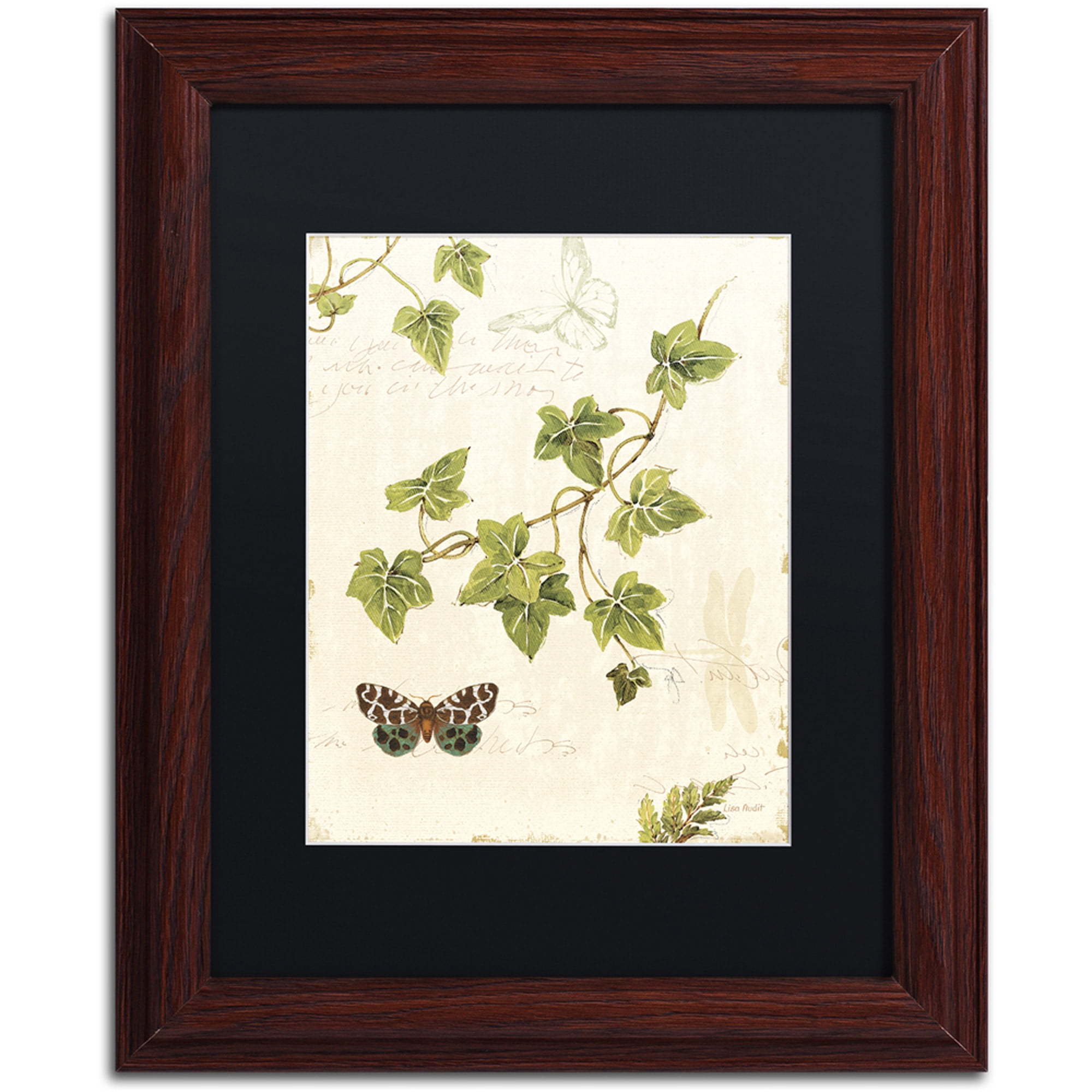 Trademark Fine Art "Ivies and Ferns II" Canvas Art by Lisa Audit, Black Matte, Wood Frame