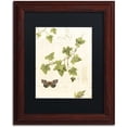 thumbnail image 1 of Trademark Fine Art "Ivies and Ferns II" Canvas Art by Lisa Audit, Black Matte, Wood Frame, 1 of 4